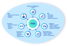 Structure of a PIM system, showcasing its importance.